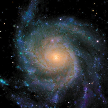 M 101 